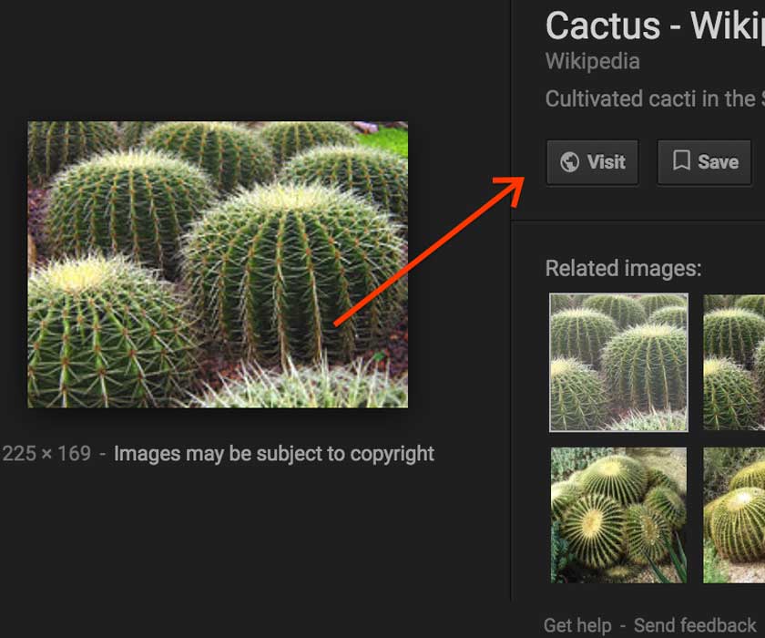 Google removes 'View Image' button from images portal Technology