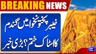 Wheat Stocks Running Out in Khyber Pakhtunkhwa? Major News Emerges  Breaking News  Dunya News
