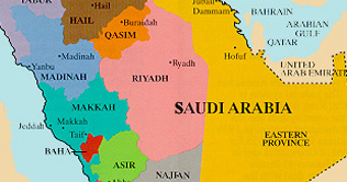 Saudi Assistant Interior Minister survives suicidal attack 