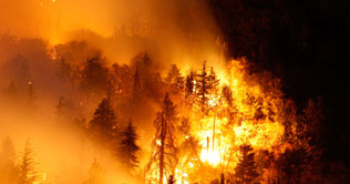 Los Angeles at risk as California wildfires rage