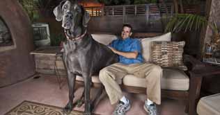 7ft-long Dog ready to set a new world record