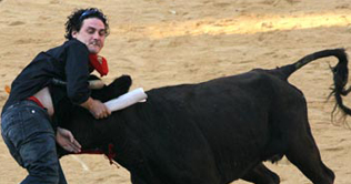 Bull kills five during Spains annual Pamplona run 