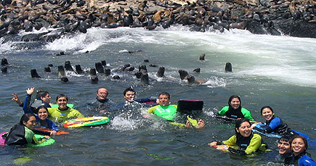 Peru: Divers swim with sea lions