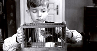 The White Ribbon at the Cannes Film Festival