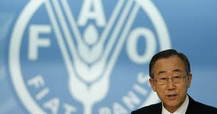 Security beefed up ahead of UN world food summit 