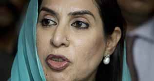 NRO cases are political, says Fehmida Mirza 