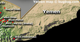 More aid needed for Yemen displaced: UN 