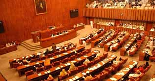 NRO presented in NA, Senate