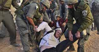 Israel demolishes Palestinians houses 