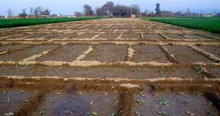 Pakistan to lease 500,000 acre land to Saudi Arabia 