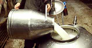French farmers dump milk into fields