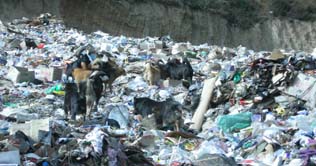 Roads to be constructed with polythene bags in India 