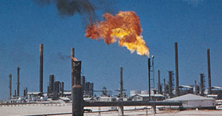 Petroleum products sale increases by 11 percent