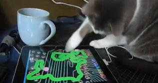 Even a cat can play iPad games