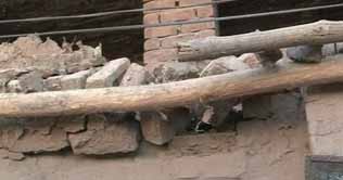 Roof collapse claims 3 in Peshawar