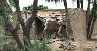 Flood safety barriers break near Taunsa and Jampur