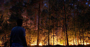 Russia declares emergency as wildfires kill 40