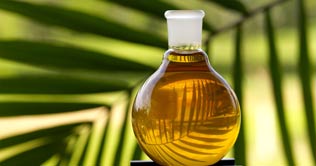 Pakistan to buy more palm oil to meet Ramazan demand