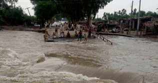 Thousands rendered homeless as rains continue to lash Sindh