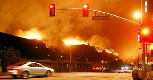 Bolivia declares emergency over forest fires