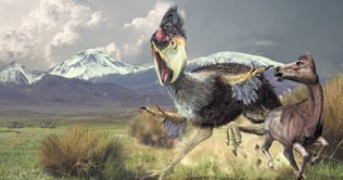 Scientists demonstrate fighting technique of pre-historic terror bird