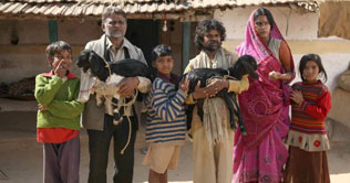 Peepli Live released in US 