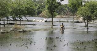 Shahdadkot faces deluge threat from two sides; super flood in Kotri 