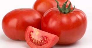 Use of tomatoes reduces chances of prostate cancer: Research