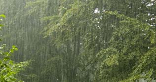 Rain and snowfall in different parts of the country