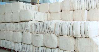 Ginning factories purchase 12.6mn bales till Feb 15