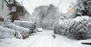 Cold snap disrupts life in Britain