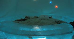 Khezi Dean sets new world record, spent 64 hrs in ice cube