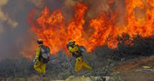 Australia: Bushfire rages on Perth outskirts