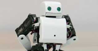 Robots could assist in quake search and rescue