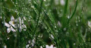 Upper parts of country receive rain, likely in Lahore today