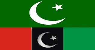 PML-N at PP-240, PPP at PP-206 win the polls