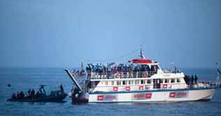 Palestine urges world to rescue Gazans from Israel