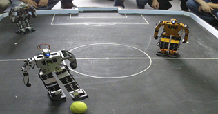 China: Robots stun fans with their liveliness at the Robot Olympics