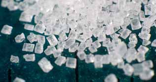 TCP receives 8 offers for sugar tender