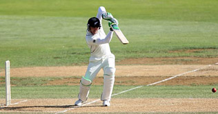 Wellington Test: NZ on the ropes
