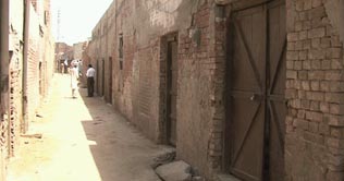 Lahore: 20 illegal slaughter houses closed