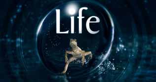 Series illustrates nature's survival tactics