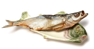 Fish consumption fruitful for children