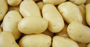 Its not necessary to stop consuming potatoes for weight loss: Study