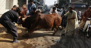  Eid 3rd day: Celebrations continue across Pakistan