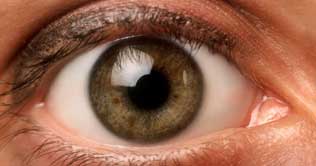  Stem cell therapy may help cure blindness