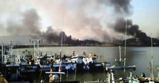 Casualties as N.Korea fires artillery at South