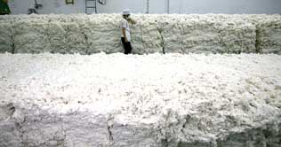 Cotton prices surge as international production decreases