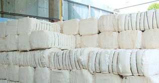 Cotton hits record high