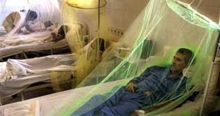Dengue patients increase to 3000, 23 die of the fever